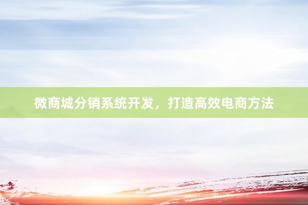 微商城分销系统开发，打造高效电商方法