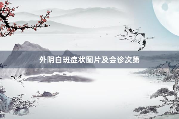 外阴白斑症状图片及会诊次第